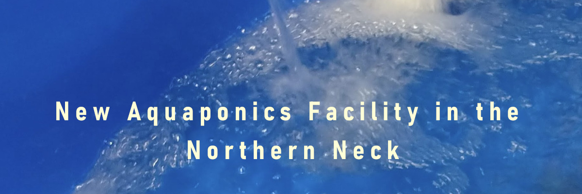 New Aquaponics Facility in the Northern Neck