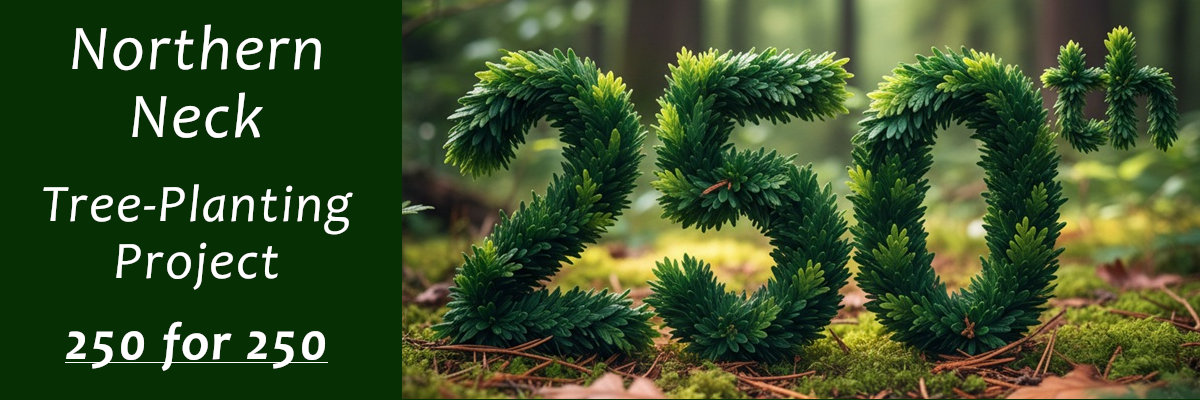 Tree-Planting Project